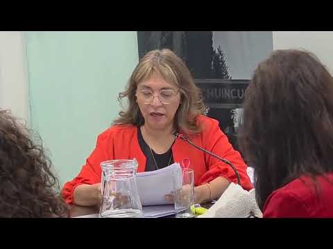 La Voz TV: sesión Concejo Deliberante de Plaza Huincul