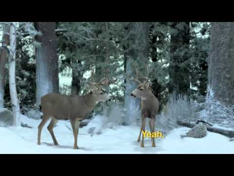 Bobby Brown Winter X Games 15 TV Spot Extended