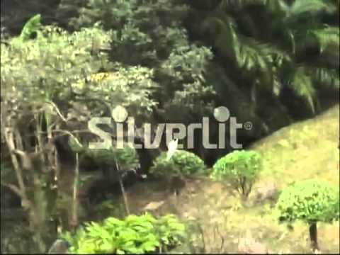 Remote Control X-Twin Classic Sopwith Camel Bi-Plane