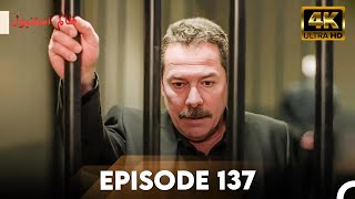 Download lagu Cruel Istanbul in 4K | Episode 137 | Zalim Istanbul | Urdu Dubbed mp3