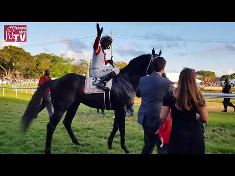 Teaser Barbados Gold Cup