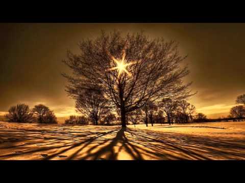 cybotnik - chilldriver