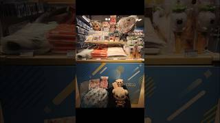 hololive production officialshop in Osaka Umeda324#VTuber#バーチャルyoutuber#ホロライブ#hololive#好き#愛#大阪#梅田#ぬい