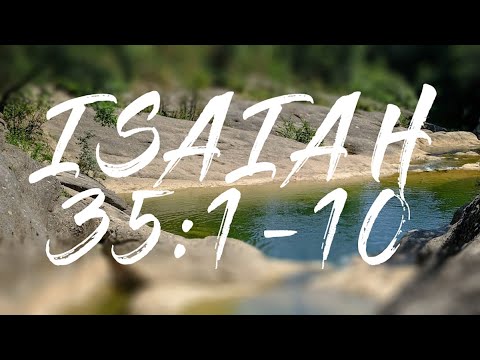 NLEPC Sunday Evening Service - 5th November 2023