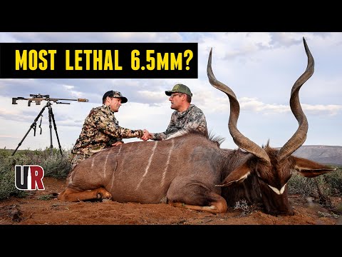 One bullet does it all: Berger 156gr 6.5mm EOL