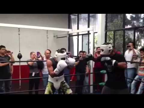 MARQUEZ PREARANDO KO CONTRA PAQUIAO