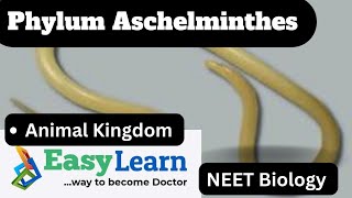 Phylum Aschelminthes | Animal Kingdom | NEET Biology | Class 11th @easylearnpatna