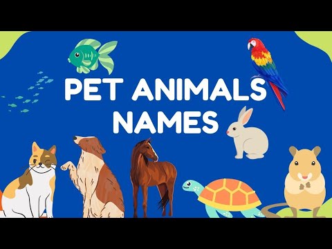 Animal Names And Sounds | Learn with Whizzy Wiggles