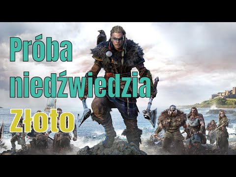 Zagrajmy w Assassins Creed Valhalla (PL) kryjówka w kopalni Odyna - Próba niedźwiedzia - Złoto [XSX]
