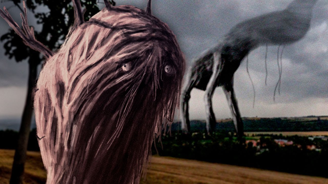 TODA a História dos GIGANTES