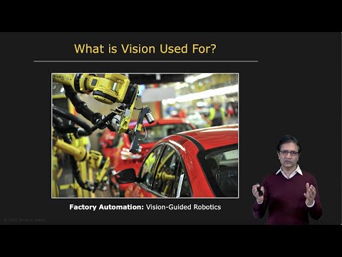 What is Vision Used For? | Introduction