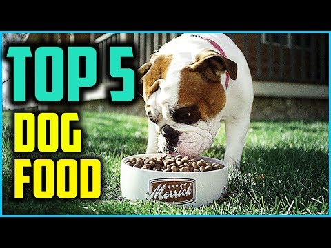 download lagu mp3 mp4 Border Collie Food Brands, download lagu Border Collie Food Brands gratis, unduh video klip Border Collie Food Brands