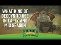 What Kind Of Turkey Decoys To Use In Early And Mid Season