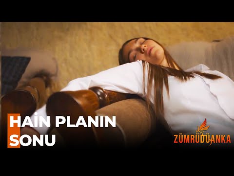 Yanlış Tercihlerin Kurbanı - Zümrüdüanka