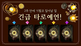[타로] 2주 안에 기필코 일어날 일 (feat.긴급 타로예언🚨, 2주 후, 예정된 사건 ⚠️절대 피할 수 없습니다)