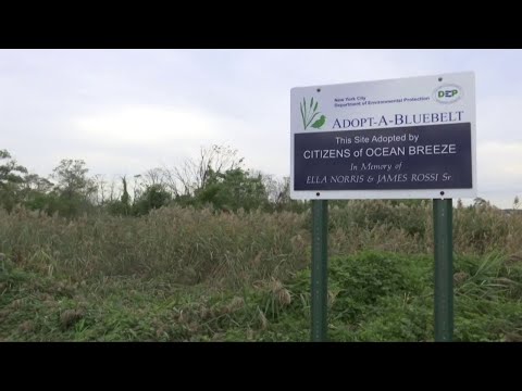 NYC Staten Island & Bluebelts