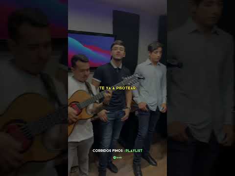 Próximamente‼️ Manny Elenes Ft Los Meros Reyes #corridos2023 #corridosnuevos #mxlmusic