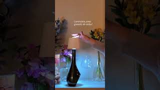 Luminária para garrafa de vinho! Digite LUZ que te envio o link! ✨ #vinhotododia