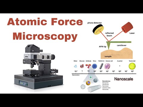 Atomic Force Microscopy: A Beginner's Guide || AFM