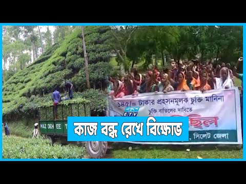 কেন্দ্রীয় কমিটির সিদ্ধান্ত অমান্য করে কর্মবিরতি চা শ্রমিকদের