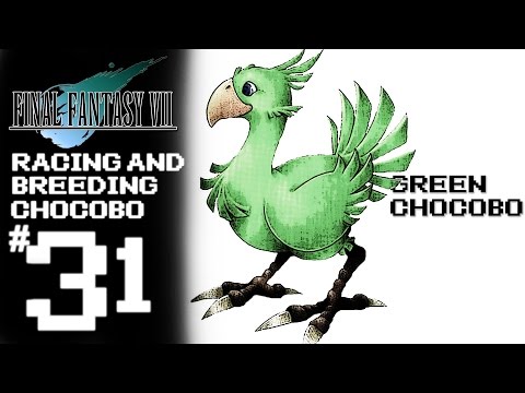 Final Fantasy VII Platnum Trophy Gameplay Walkthrough Part 31 - Racing And Breeding Chocobo