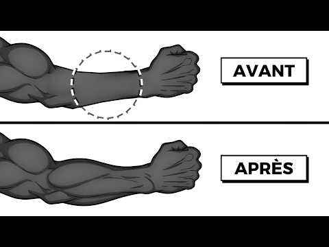 The Only 3 Exercises Your Forearms Need... (Bodyweight)