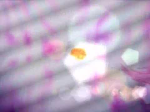 Regal Academy: Transformations