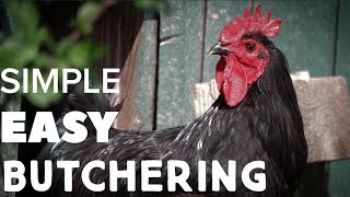 SIMPLE HOMESTEAD METHOD - How To Butcher a Chicken Rooster (and Older Hens Too)