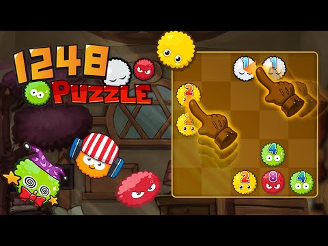 1248 Puzzle