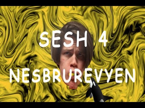 Nesbrurevyen 2018 intensiv dag 4