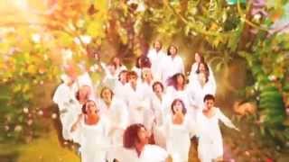 The Polyphonic Spree  Section 9 (Light & Day/Reach for the Sun)