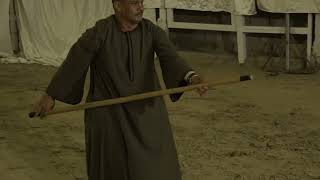 خيل