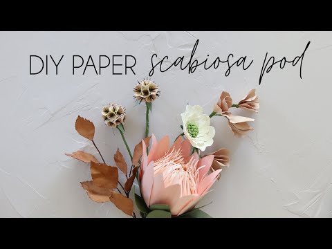 DIY How to make Paper Flower Scabiosa Pod