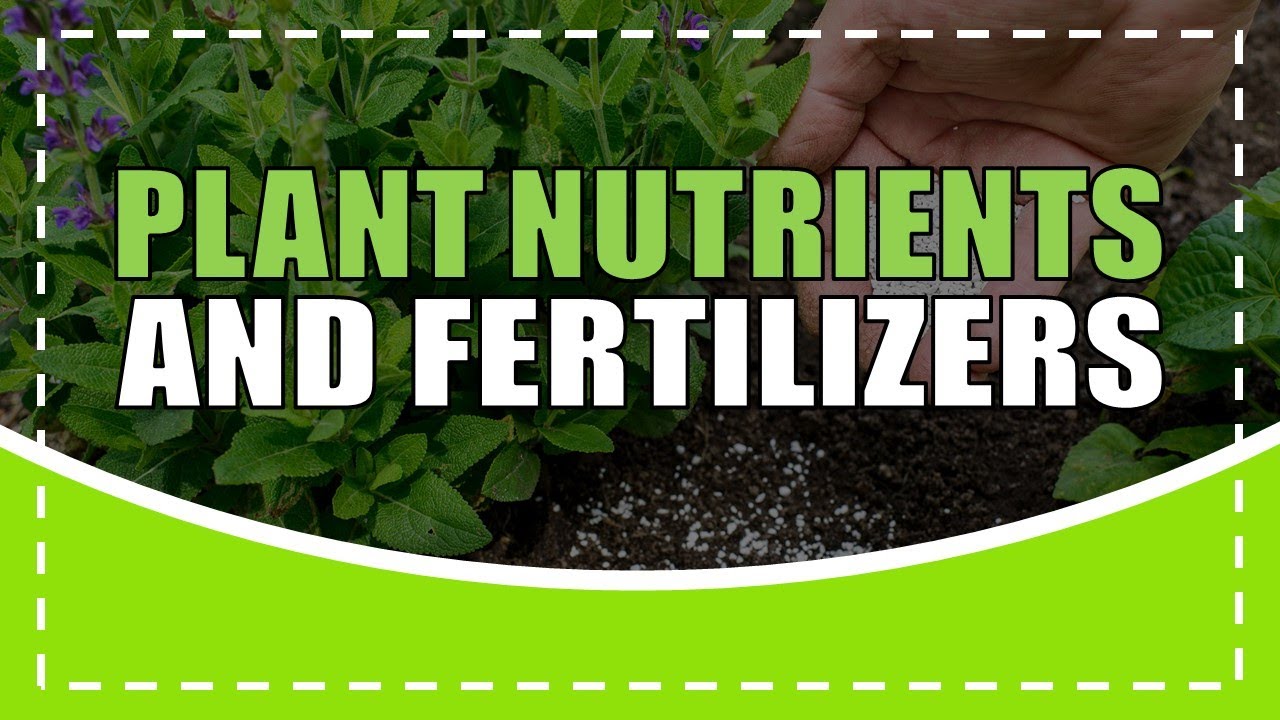 PLANT NUTRIENTS AND FERTILIZERS | TLE GARDENING