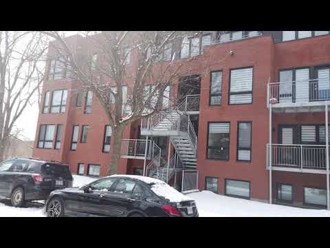 St Remi/Walnut - Video 5 of 8