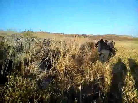 اشتباكات بين كتيبة شهداء عدوان وقوات النظام على جبهة تل عشترة في ريف درعا ضمن معركة الثأر لشهداء عدوان