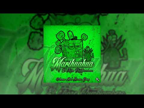 Tigre Cumbiambero - Marihuahua