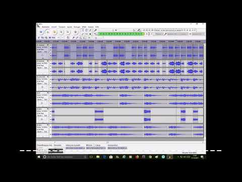 Schrunzel - 524411331 v.2 Video Clip