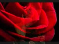 Mera Sajan Aa Gaya Best Song Mp4 Kashif Gujjar