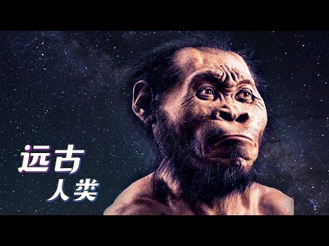 屬人