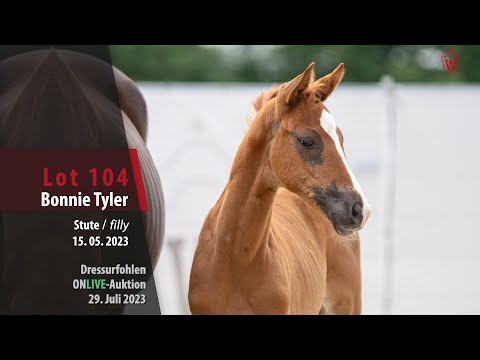 ONLIVE-AUKTION Lot 104 Bonnie Tyler Stute v. Benicio - Brentano II