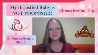 My Breastfed Baby is Not Pooping!!!
