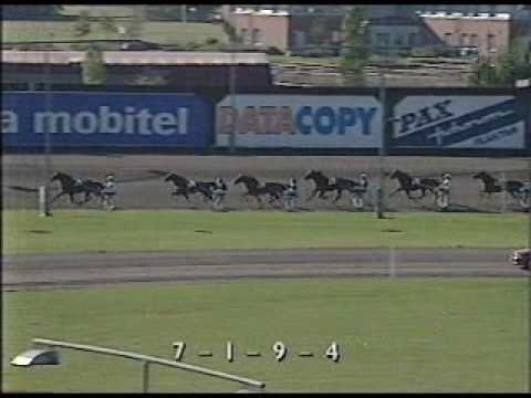 Åby Stora Pris 1995 - Zoogin / Åke Svanstedt