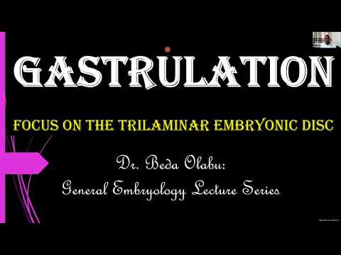 3RD WEEK OF DEVELOPMENT - GASTRULATION & DERIVATIVES OF GERM LAYERS