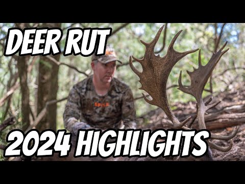 Deer Hunting 2024 Rut Highlights Clip || 2nd Upload