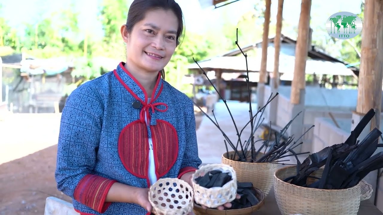 Tech, tissue culture, and biochar: Supporting local communities in the Thailand-Myanmar border area