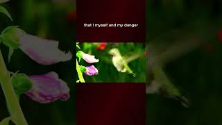 Download lagu TOP MUSIC SHORT (VERSION 4) I AM MY DANGER | VIDEO CLIP mp3