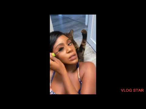 Funny cat interrupts during live video #funnycat #explorationtvshorts