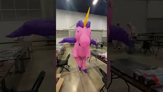 Unicorn! Tulsa coin show antics part 2 music only.