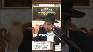 ⭐️✨️הרב מאיר אליהו✨️⭐️ פרשת בשלח‼️ #הרב_מאיר_אליהו #פרשת_השבוע #בשלח (בית הכנסת מוסאיוף - ערוץ חדש) - התמונה מוצגת ישירות מתוך אתר האינטרנט יוטיוב. זכויות היוצרים בתמונה שייכות ליוצרה. קישור קרדיט למקור התוכן נמצא בתוך דף הסרטון